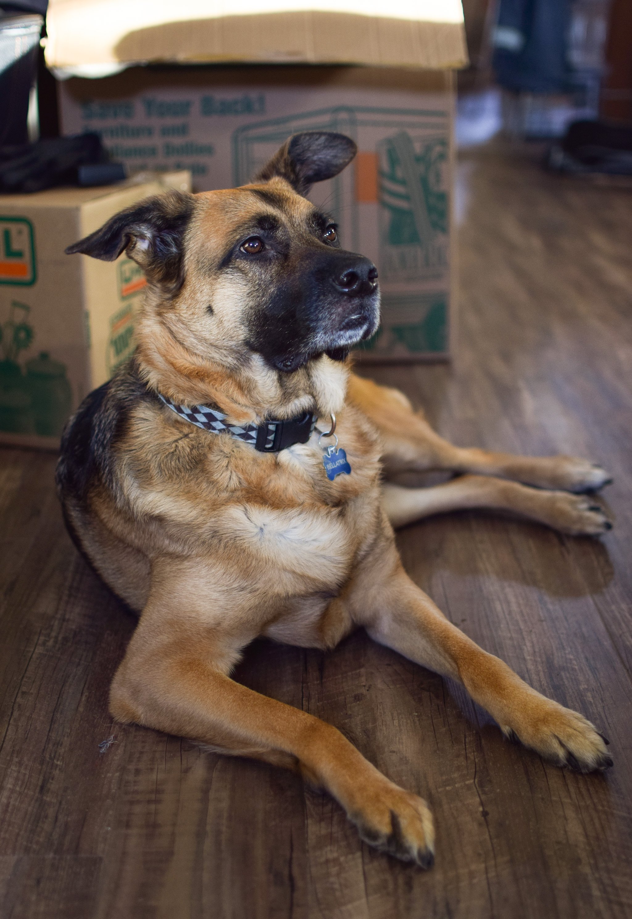 5 Make-Ahead Food Prep Ideas for Moving Day - Have food prepped and ready to eat on the day of your next move with these 5 ideas! - pmp.local