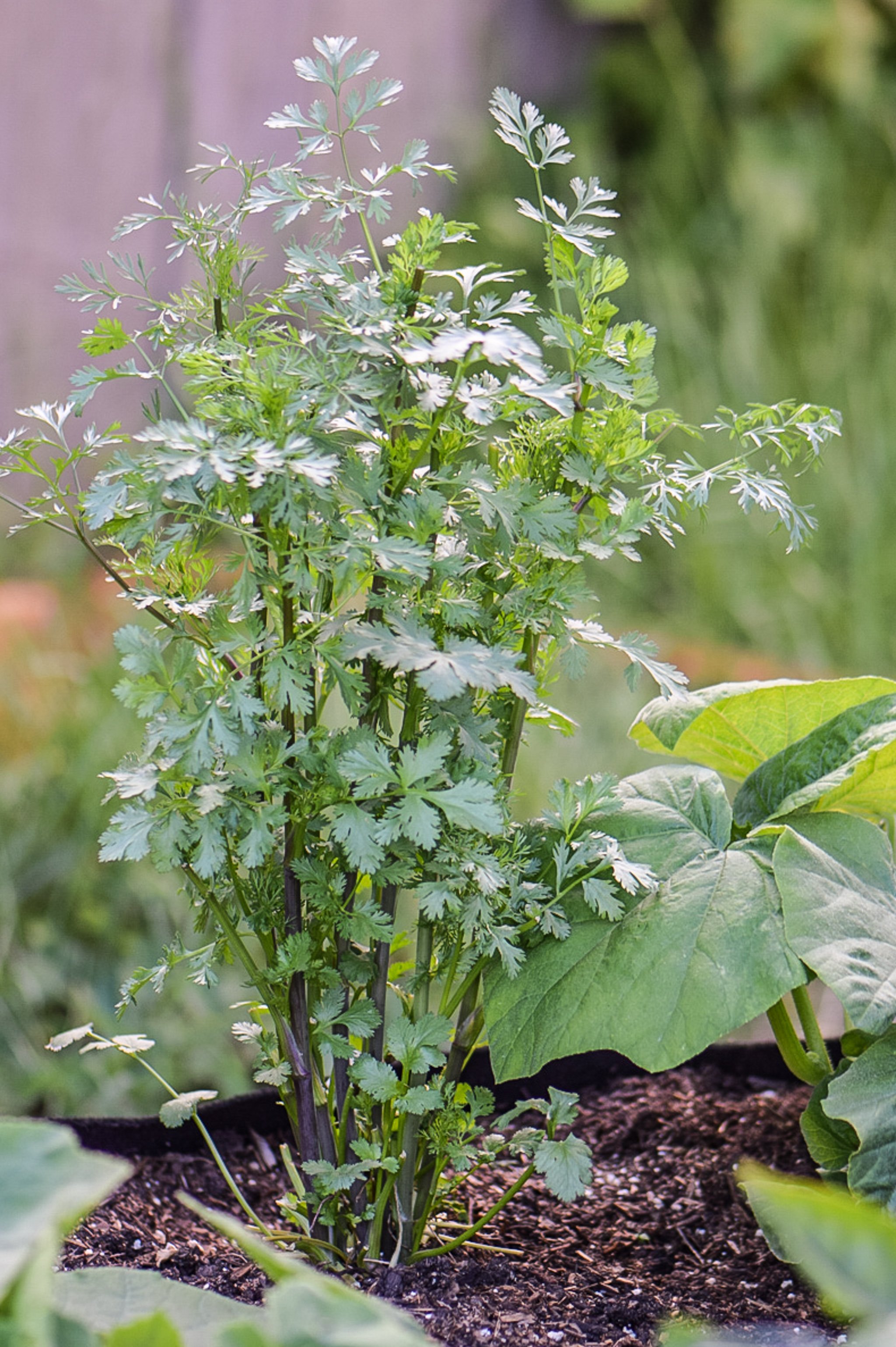 15 Totally Doable Ways to Save Money When You Meal Prep - Who likes to save money? Everyone! Check out these tips for saving on your meal prep. - pmp.local