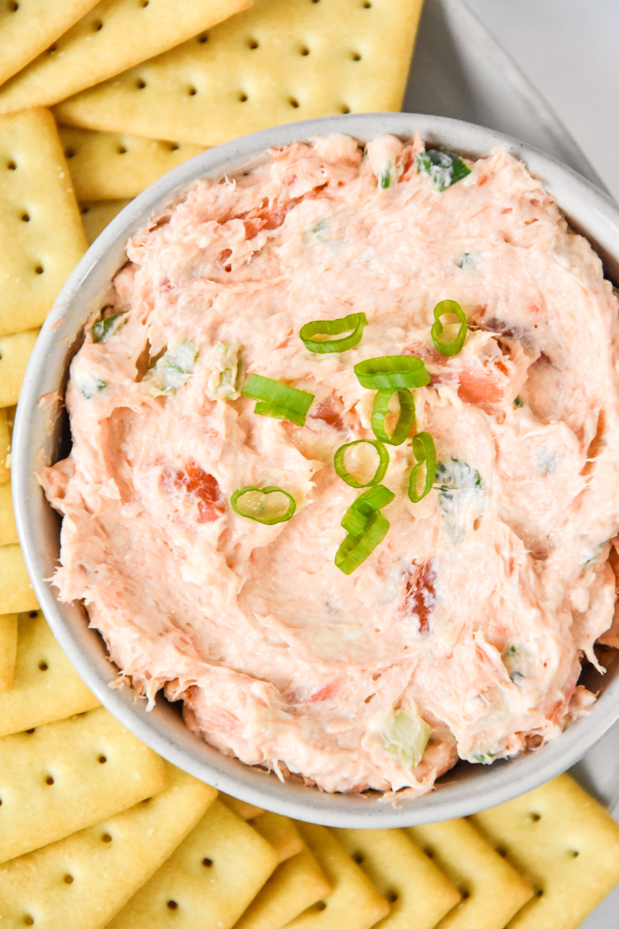 smoked salmon dip arranged to serve with crackers.