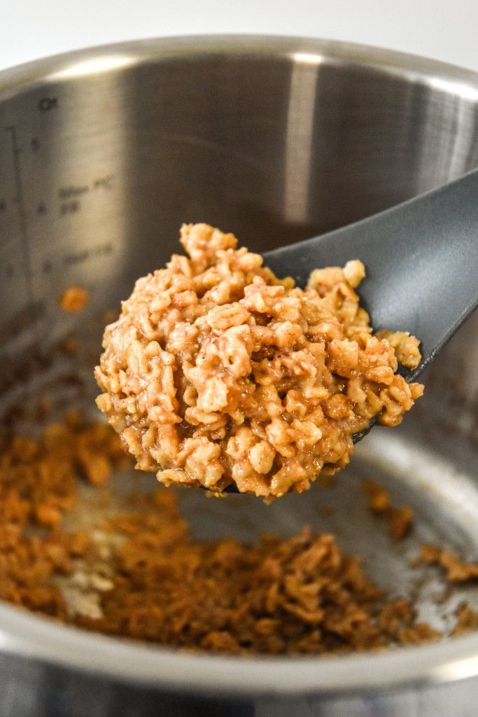 a spoonful of instant pot gingerbread oatmeal.