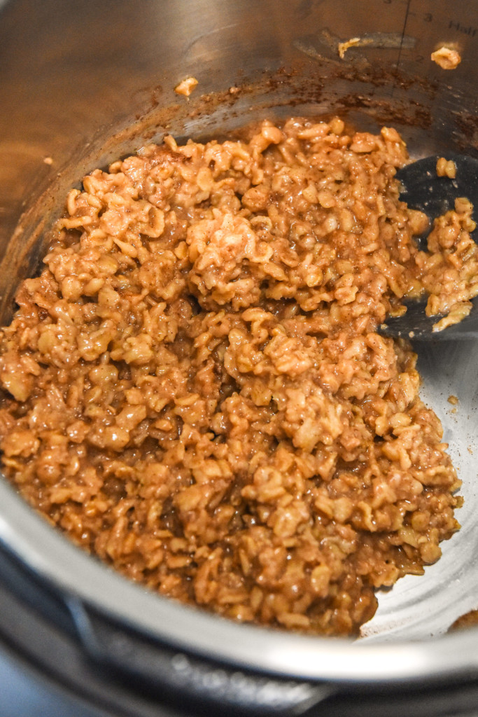 stirred up gingerbread oatmeal inside the instant pot.