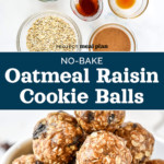 pin image with text for no-bake oatmeal raisin cookie balls.