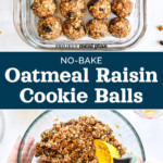 pin image with text for no-bake oatmeal raisin cookie balls.
