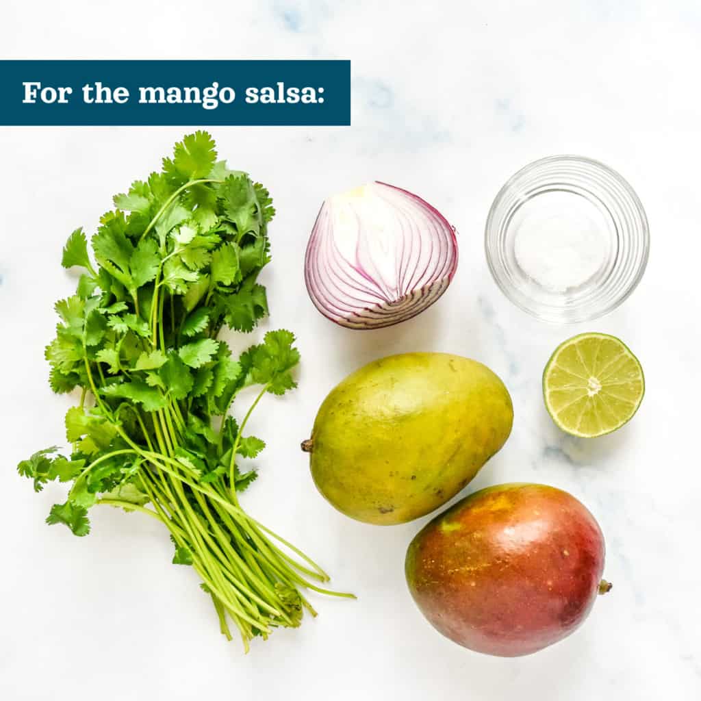 ingredients for the mango salsa before preparing.